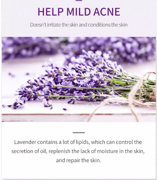Estelin Lavender Essential Oil Extract (30ml) - Image 9